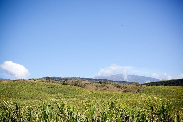 420728_10150587476847666_359225334_n