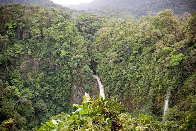 64151_10150586461172666_1627778241_n