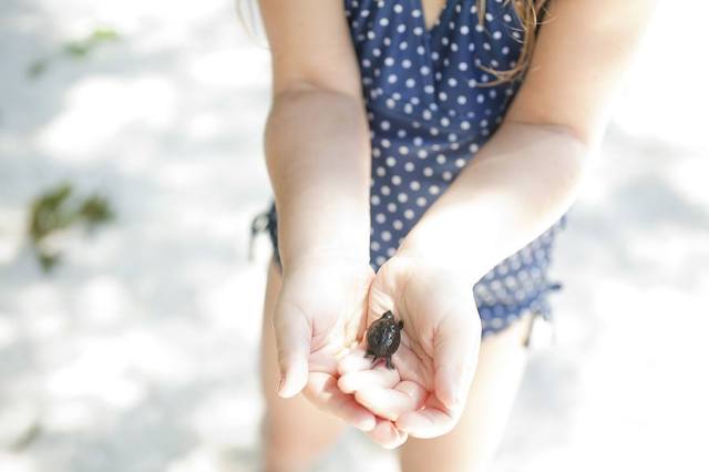 10377989_10152247874497666_5109628870998772583_n