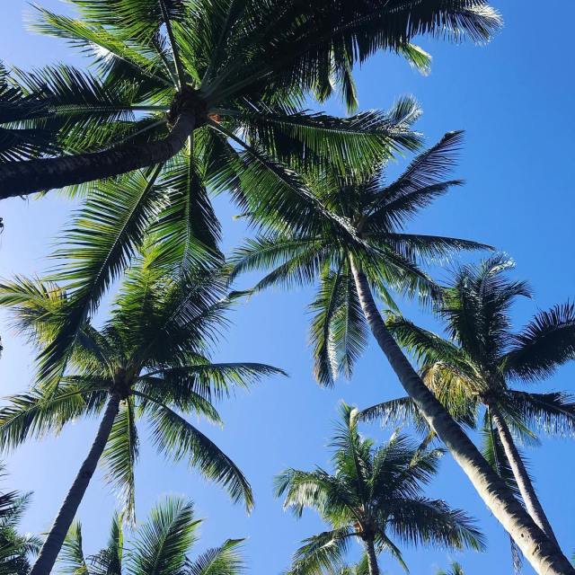 49525706_10156059951462666_7757291577499713536_o