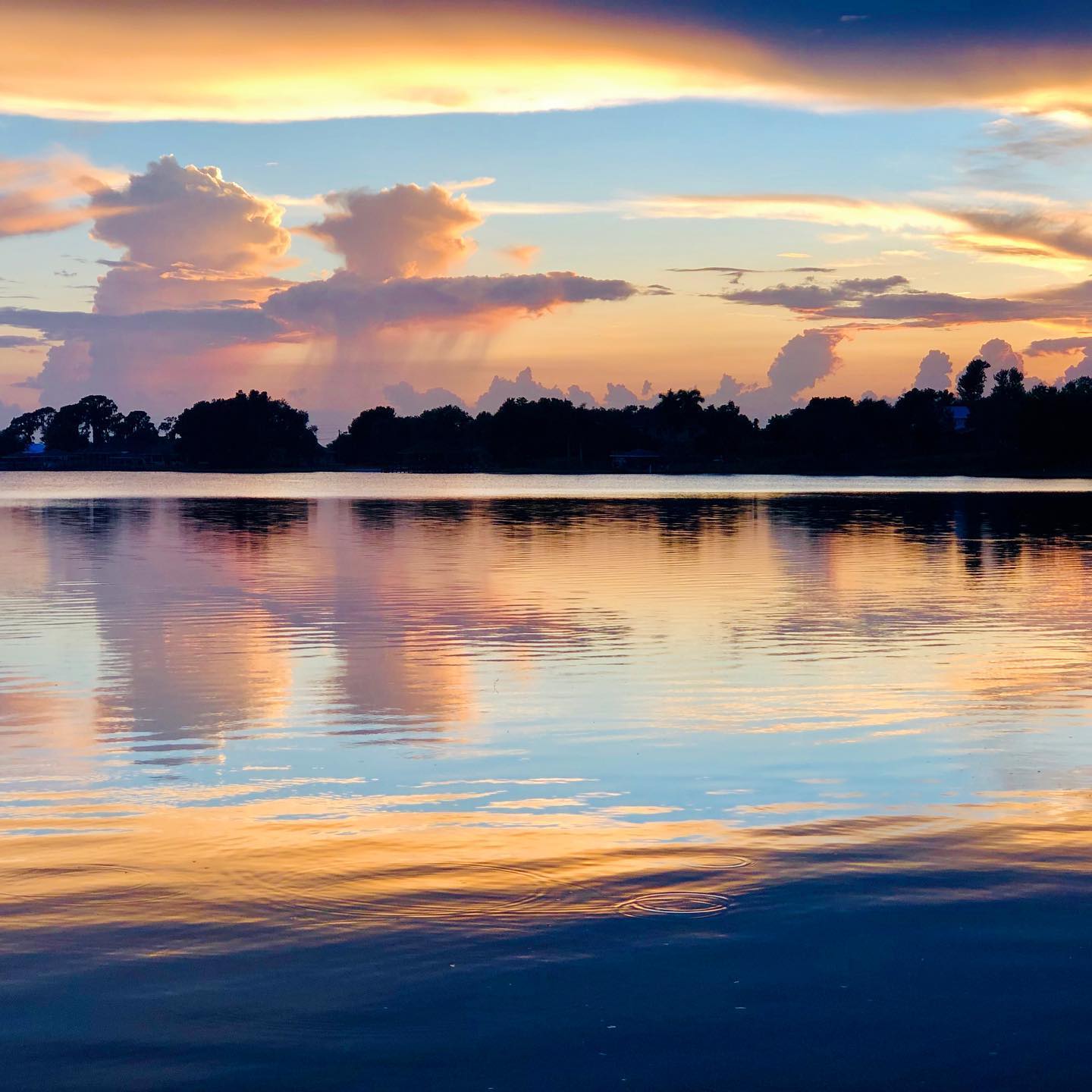 105600822_10157457455637666_3606125737262934547_o